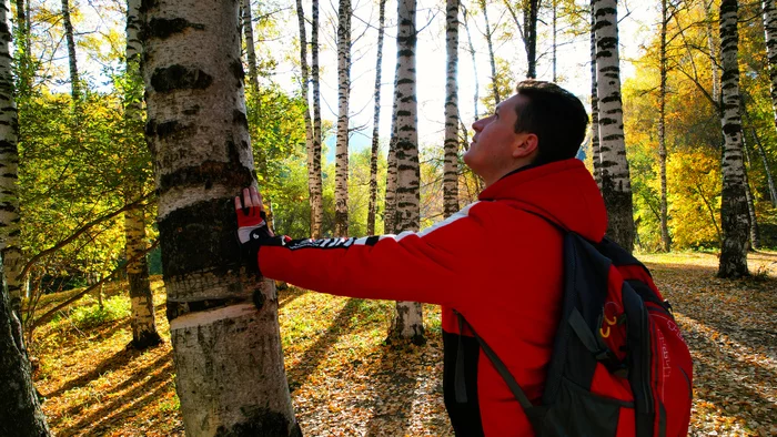 TOP location for autumn photo shoot in ALMATY - Birch Grove, Ak-Kaiyn. How to get there? | Video - My, Travels, Nature, Tourism, Kazakhstan, Almaty, Route, Video, Youtube