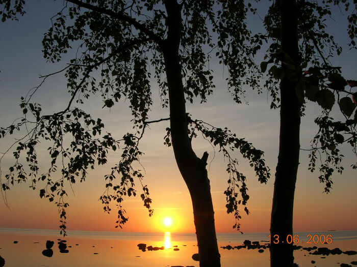 ����� �� ����: "������ ���� � ��������"