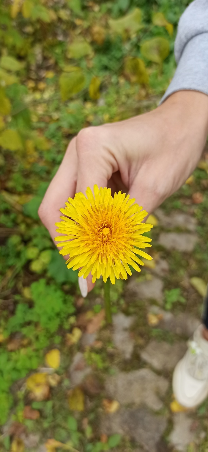 Природа меняет свое мнение... | Пикабу