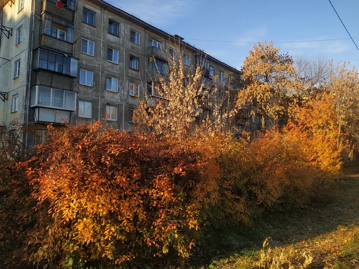 Autumn Chelyabinsk - My, Mobile photography, Chelyabinsk, Autumn