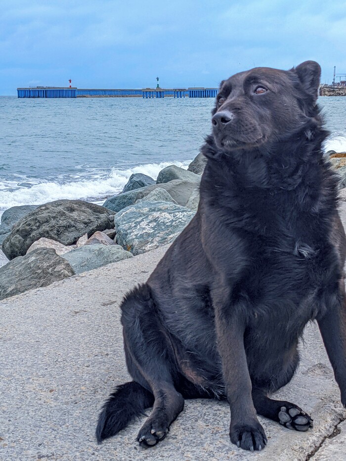 Сочинский хороший мальчик