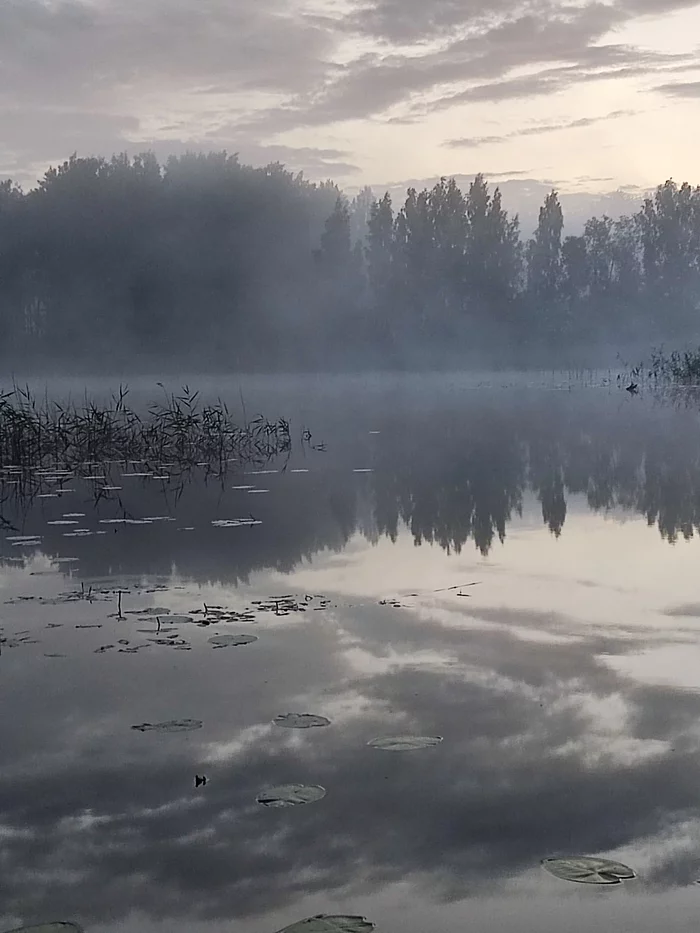 Silence in you - Nature, Mobile photography, Lake, Fog, Longpost