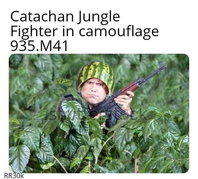 Warhammer 40,000 IS Regiments: Catachan Jungle Fighters - My, Warhammer 40k, Warhammer, Longpost, Catachan, Imperial guard