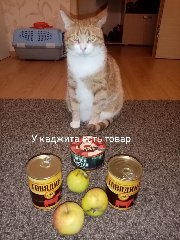 Если есть монеты, то