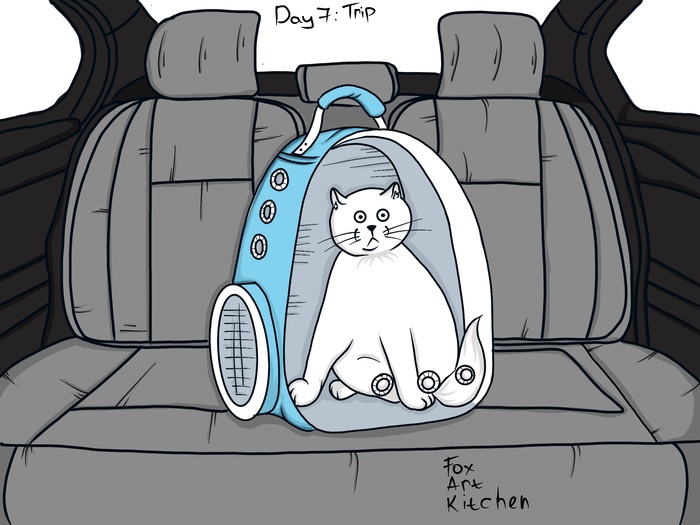 �������� ���� 7