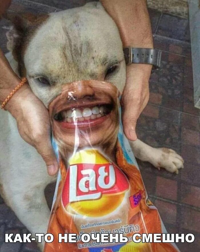 ... , Lays