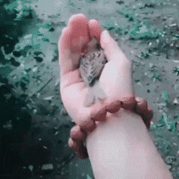    , , , 