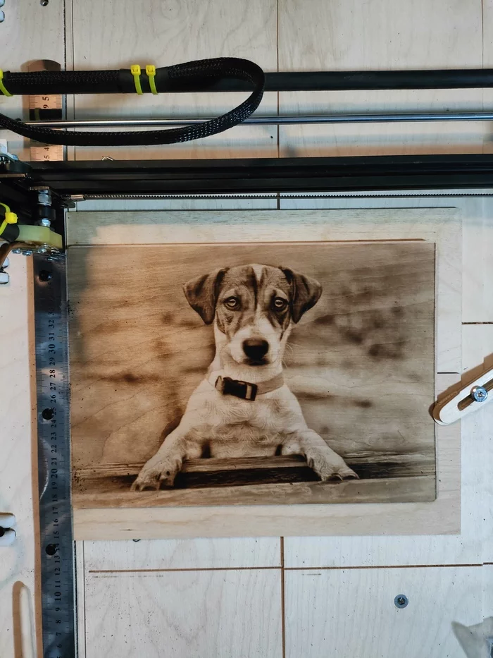 Glorious dog! - My, Dog, Pyrography, Painting, CNC, Longpost