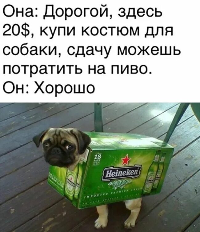 Baten dog - Humor, Dog, Beer, Picture with text, Repeat