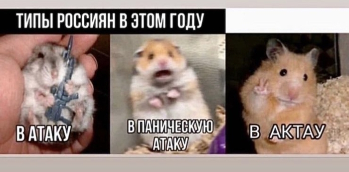 ���� �������