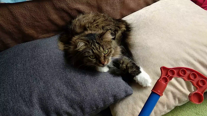 На двух подушках мягче...