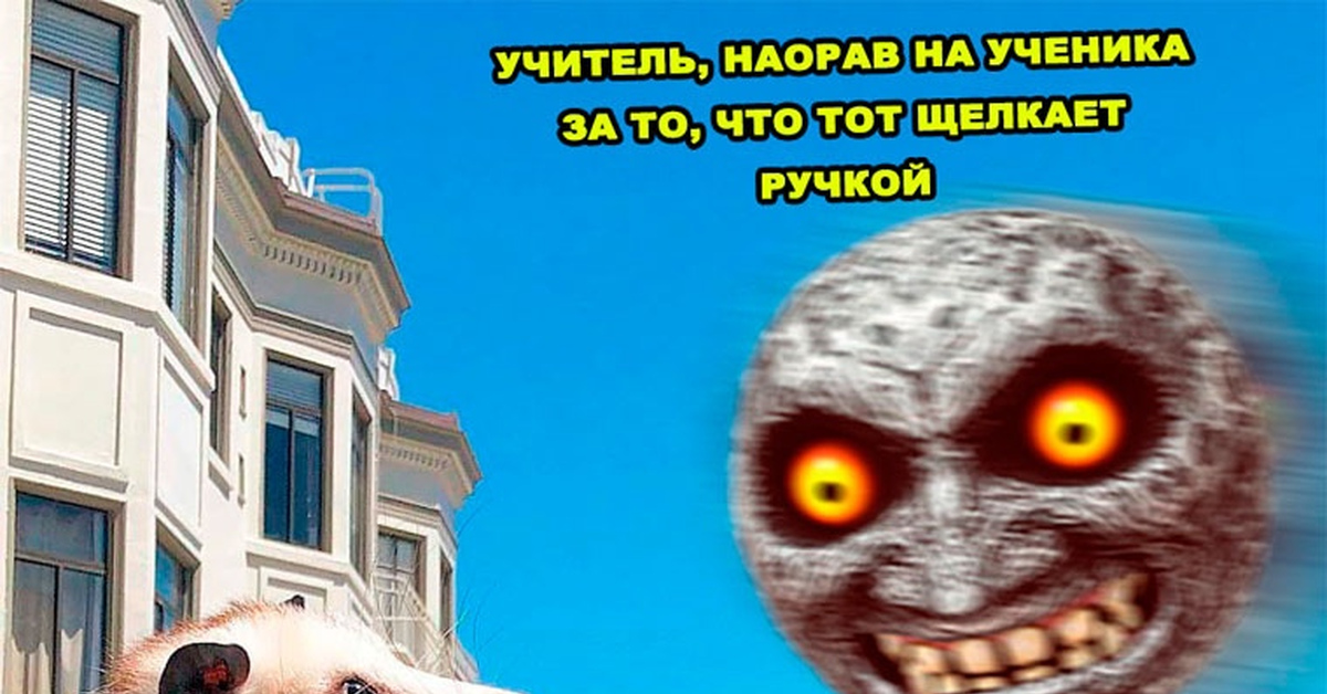 Безвыходная ситуация | Пикабу