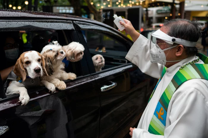 Every year on the eve of Pet Day, a Filipino priest blesses hundreds of pets with holy water. - Philippines, Pets, Blessing, Holy water, Video