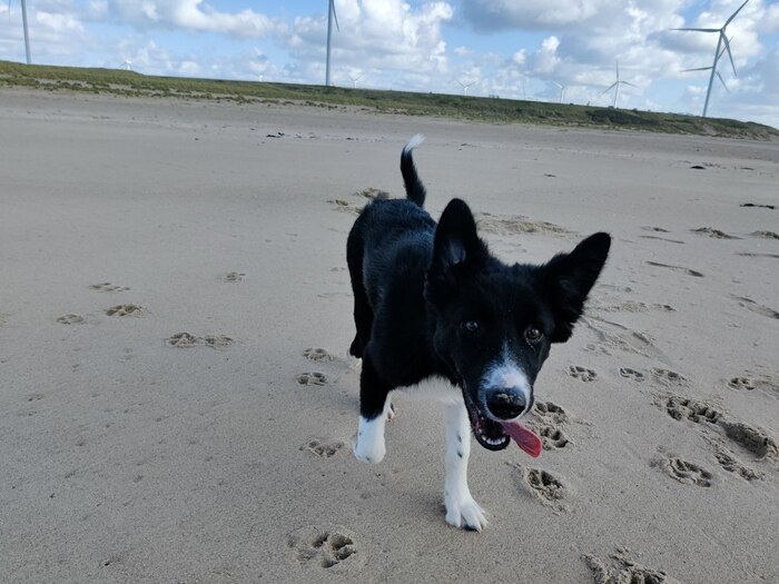 � ����������, ��� �� ������� ����� ������������?