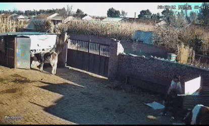   , , , 