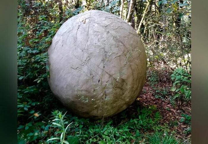 ����� ��������, ������ � ���� ���� ��������� �������� ������������� ����