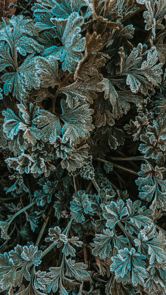 ������ �������� ���� � ���� ����