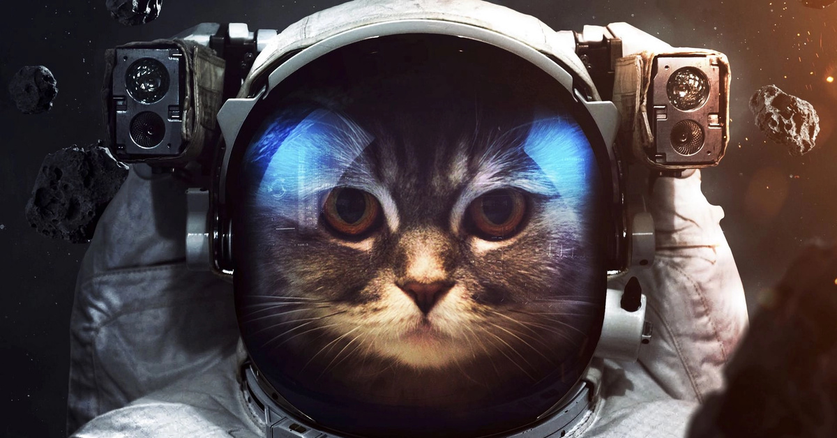 Кот космонавт обои