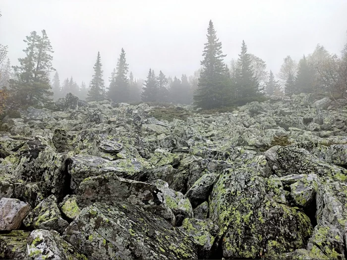 Mount Big Uvan - Zyuratkul National Park - My, The nature of Russia, Nature, Landscape, The photo, Fog, The rocks, Mobile photography, Autumn, Ural, Lake, Zyuratkul, National park, Southern Urals, Chelyabinsk region, Macro photography, Russia, Tourism, Travel across Russia, Travels, Longpost