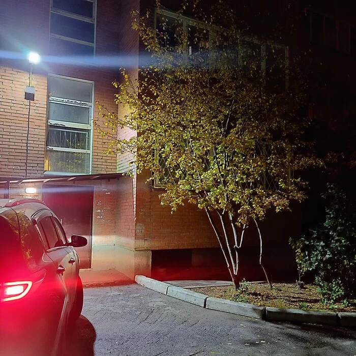 It got dark - My, Night, Novosibirsk, Courtyard, Lamp, Tree, Car, Neon, Longpost