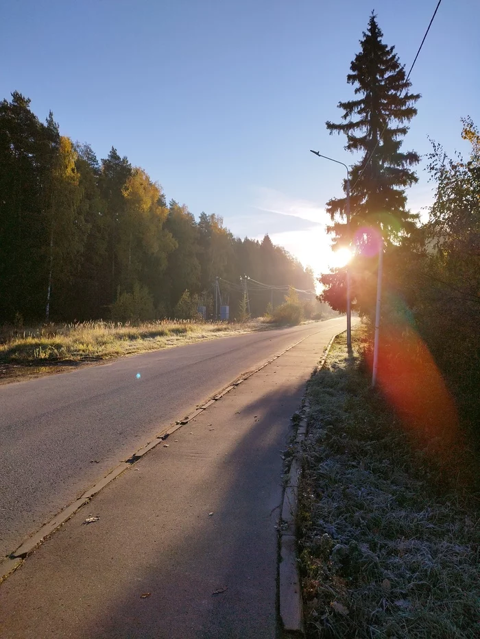 The first frosts of the new winter - My, The photo, Weather, Nature, Autumn, Christmas trees, Forest, Longpost, Airplane, Oak, Grass, Lake