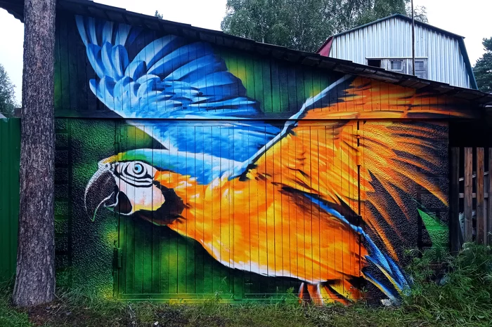 graffiti parrot - My, Art, Street art, Graffiti, A parrot, Decor, Beautiful, Drawing, Drawing on the wall, Art, Graphics, Illustrations, Creation, Artist, Video, Animals, Birds, Painting, Animalistics, Surgut, Street painting, Youtube