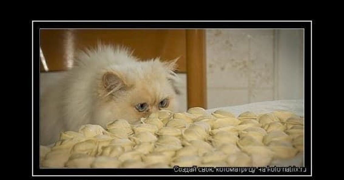 Так вот это хочу. Ну вот так както. Прикольные открытки для любимого мужчины. Я хочу гулять. Ну вот так как-то.