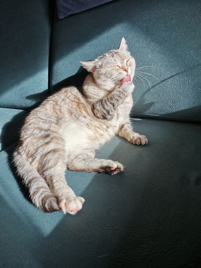 Утренние процедуры