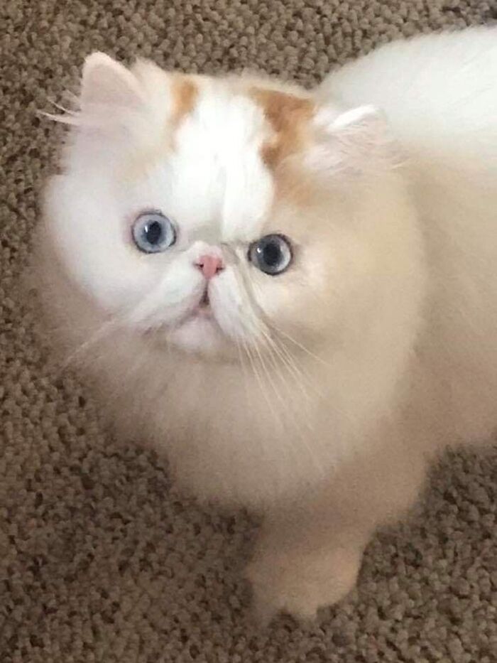  ,    !