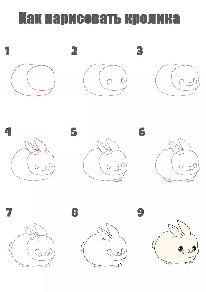 Draw a rabbit step by step - Animals, Pets, Rabbit, Creation, Beginner artist, Drawing, Drawing process, Digital, Art, Digital drawing, Drawing lessons, Tutorial