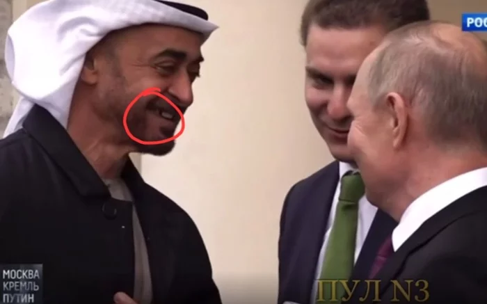 GDP + UAE and their twins - My, Vladimir Putin, UAE, Politics, Humor