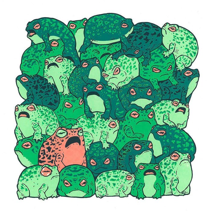 Какая жабка ты сегодня?