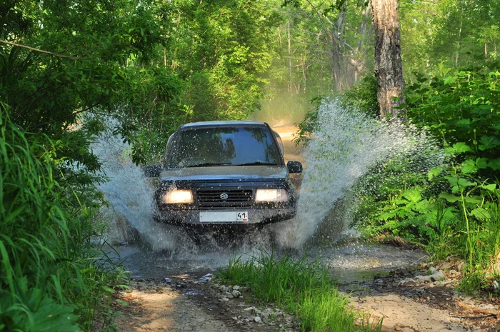 Моя маленькая слабость... - Моё, Природа, Авто, Suzuki, Фотография, Лес