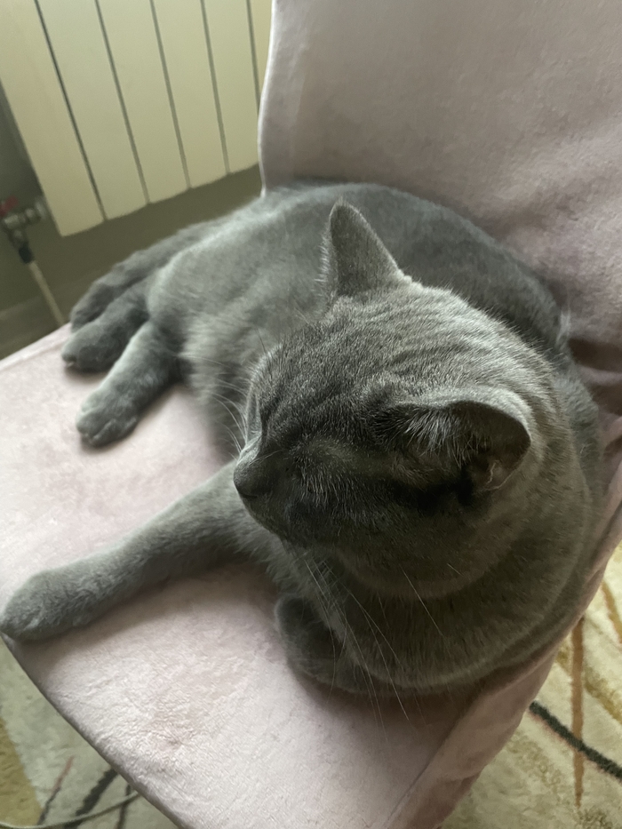 ������ ���