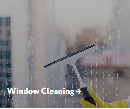 Windows and Gutters Cleaning GTA - My, Windows, Cleaning, Longpost