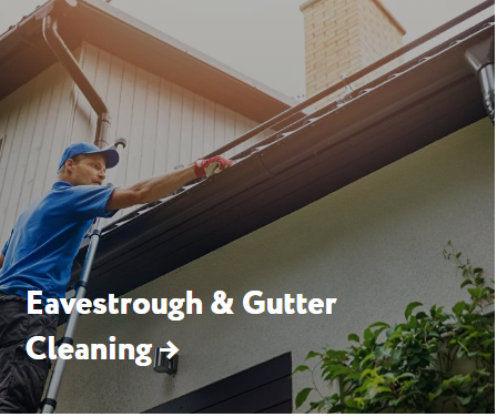 Windows and Gutters Cleaning GTA - My, Windows, Cleaning, Longpost