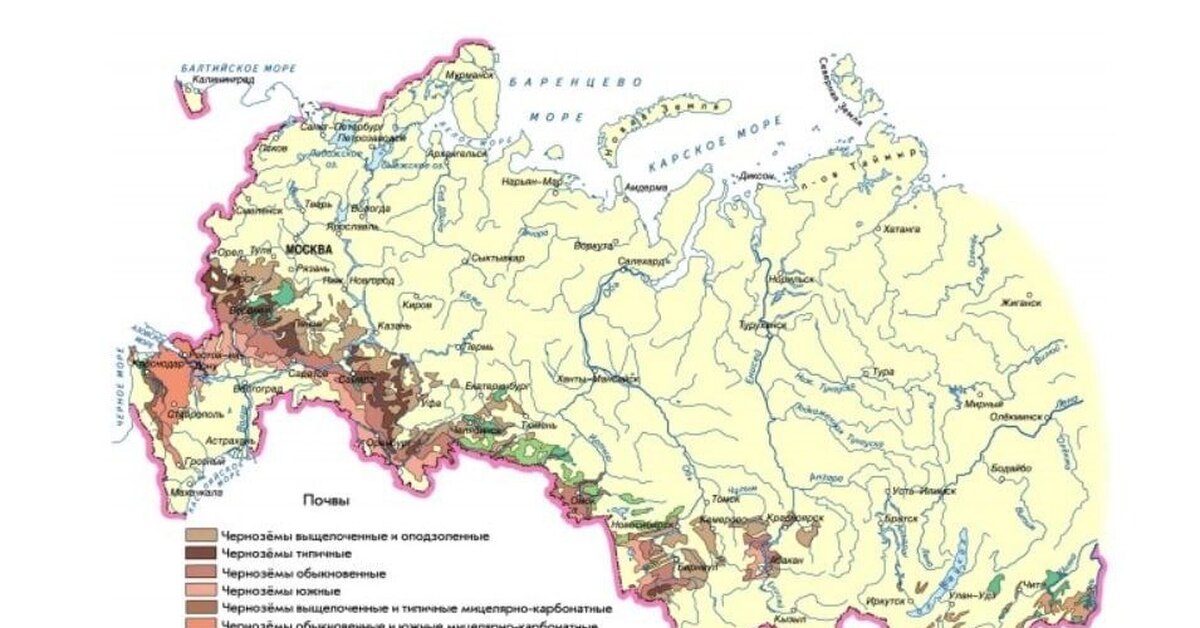 Какая природная зона самая плодородная почва чернозем