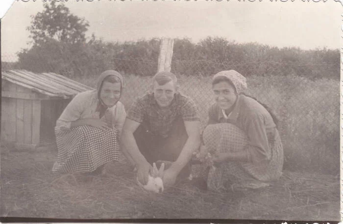 School production team of rabbit breeding, 1955 - Old photo, Black and white photo, the USSR, История России, 1955
