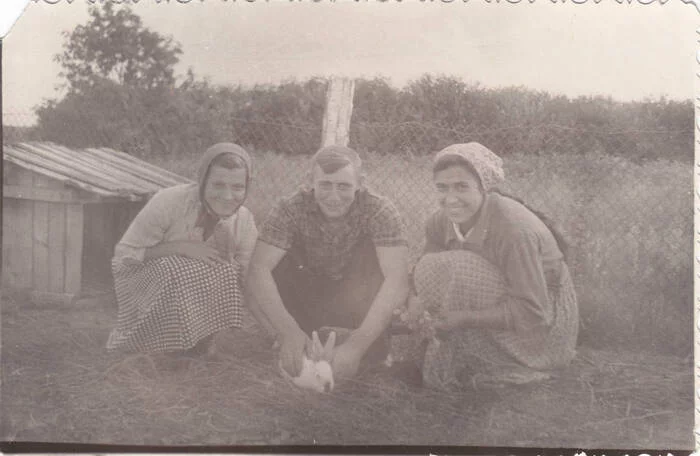 Школьная производственная бригада кролиководства, 1955 - Старое фото, Черно-белое фото, СССР, История России, 1955