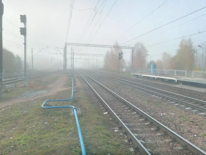 Foggy morning at Siverskaya station - My, Siversky, Railway, Station, Train, Mobile photography, The photo, Photo on sneaker, Longpost