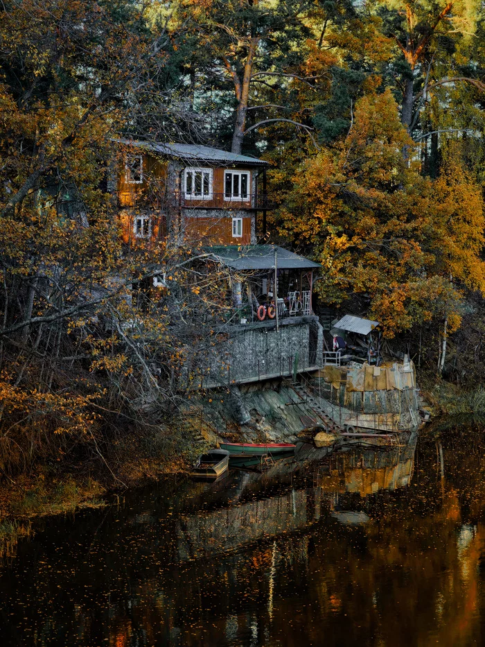 Sista river. LO - My, Mobile photography, Autumn, Leningrad region