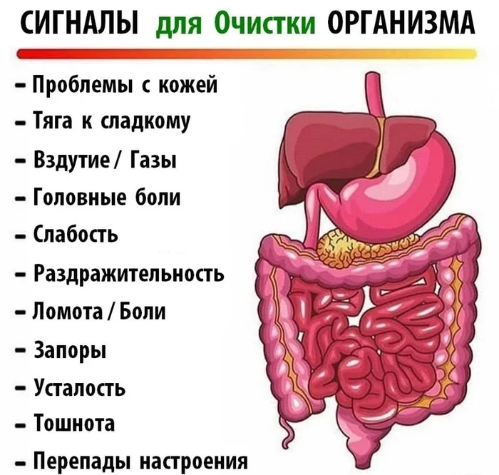 Сигналы для очистки организма - Лечение, Здоровье, Болезнь, Организм, Очищение