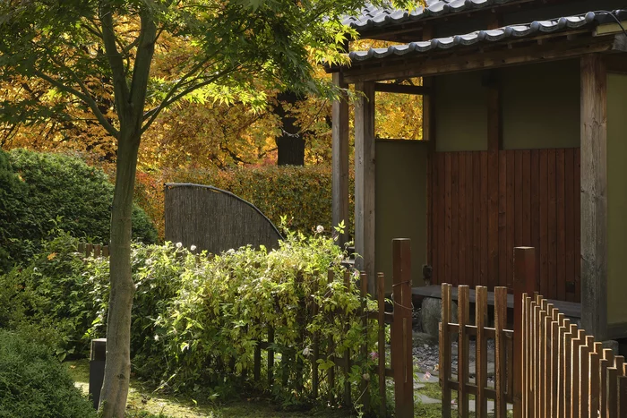 Autumn in the Japanese garden - My, The photo, Saint Petersburg, Plants, Garden, Autumn, Nature, Japanese Garden, Fujifilm, Longpost