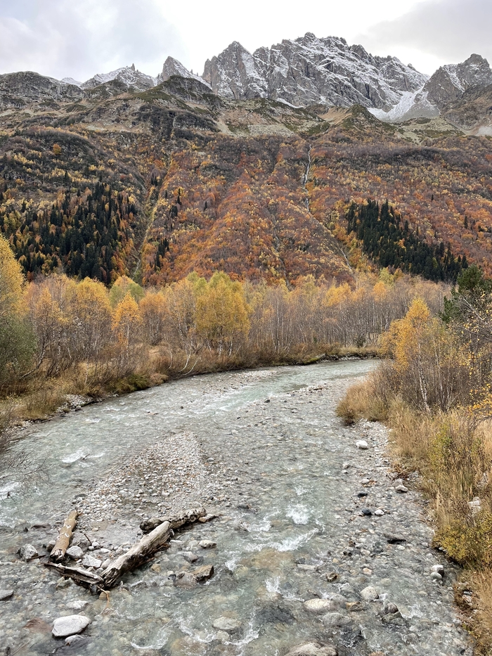 ������� ����� �� �������