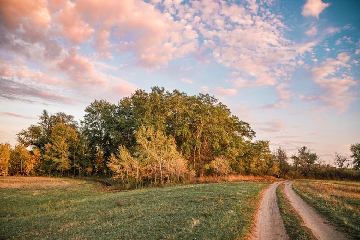 Warm autumn evening - My, The photo, Nikon, Kazakhstan, Uralsk, Landscape, Nature, Evening, Longpost