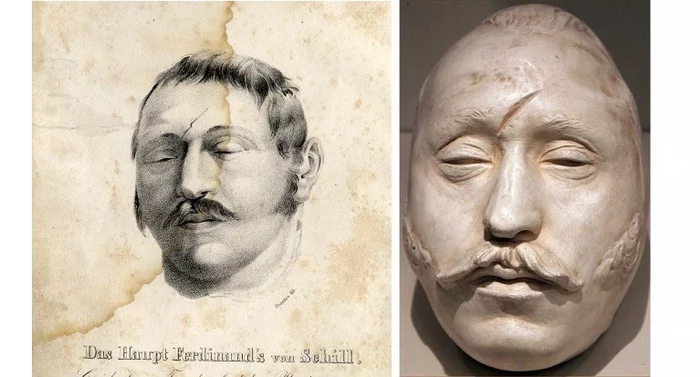 Личный враг Бонапартов или почему иногда не стоит злить ботаника История, Германия, Личность, Очерк, Интересное, Длиннопост Личный враг Бонапартов или почему иногда не стоит злить ботаника История, Германия, Личность, Очерк, Интересное, Длиннопост