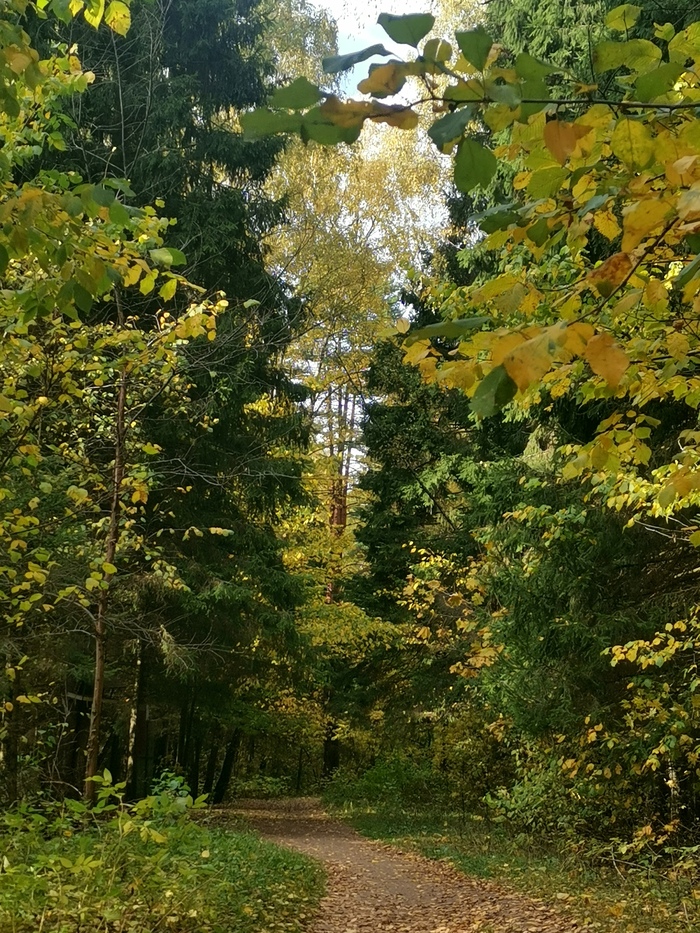 Все оттенки зелёного