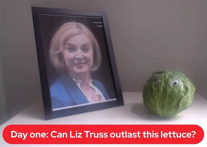 Liz Truss or lettuce? Place bets on who can last longer - Politics, news, Риа Новости, Liz Truss, Conservatives, Great Britain, Betting, Lettuce, The Times