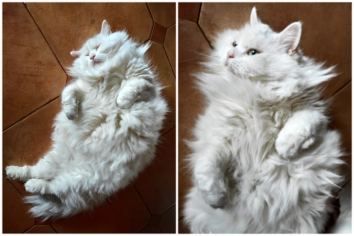 Пробуждение