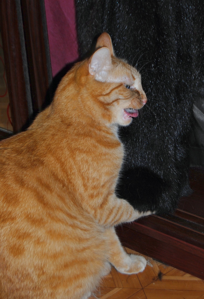 ����� ������� ��� ���� ����...